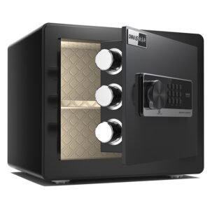digital home safe in features